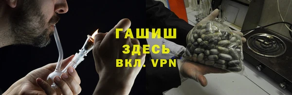 ГАЛЛЮЦИНОГЕННЫЕ ГРИБЫ Новозыбков
