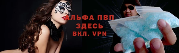 ПСИЛОЦИБИНОВЫЕ ГРИБЫ Нея