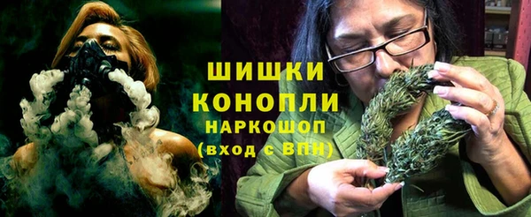 ГАЛЛЮЦИНОГЕННЫЕ ГРИБЫ Новозыбков