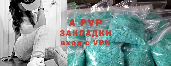 ПСИЛОЦИБИНОВЫЕ ГРИБЫ Нея