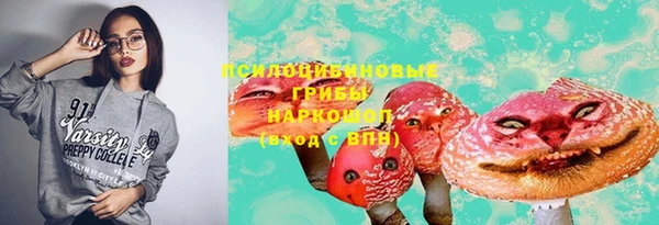 ПСИЛОЦИБИНОВЫЕ ГРИБЫ Нея