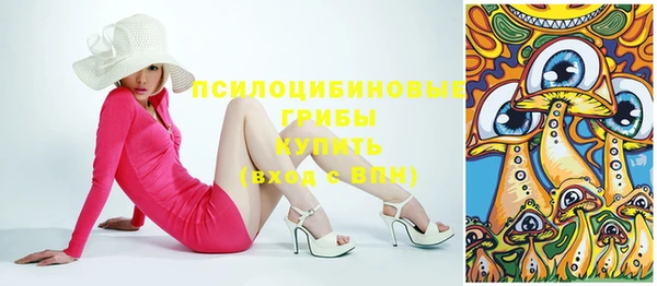 ПСИЛОЦИБИНОВЫЕ ГРИБЫ Нея