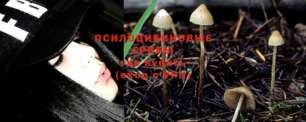 2c-b Нефтегорск