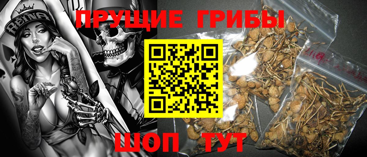 Новотроицк  НБОМе  Меф  Вход с VPN  Вейп ТГК 