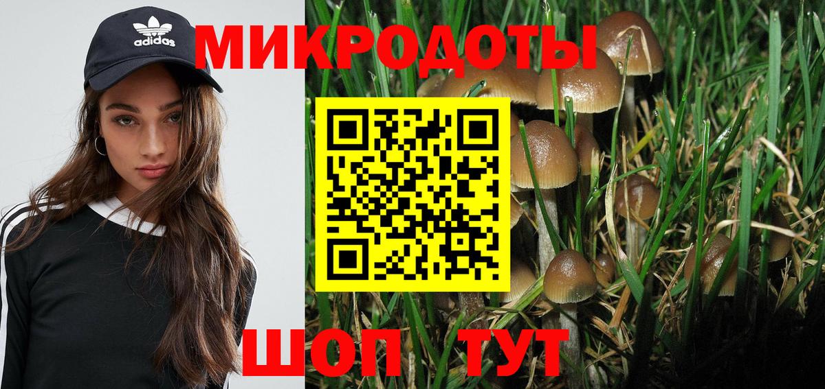 Новотроицк  Галлюциногенные грибы ЛСД  Галлюциногенные грибы Cubensis  Вход с VPN 