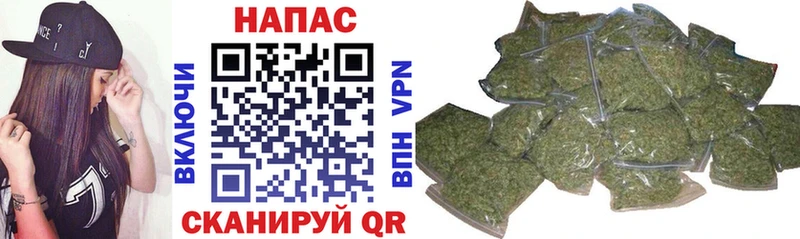Конопля Ganja  Новотроицк 